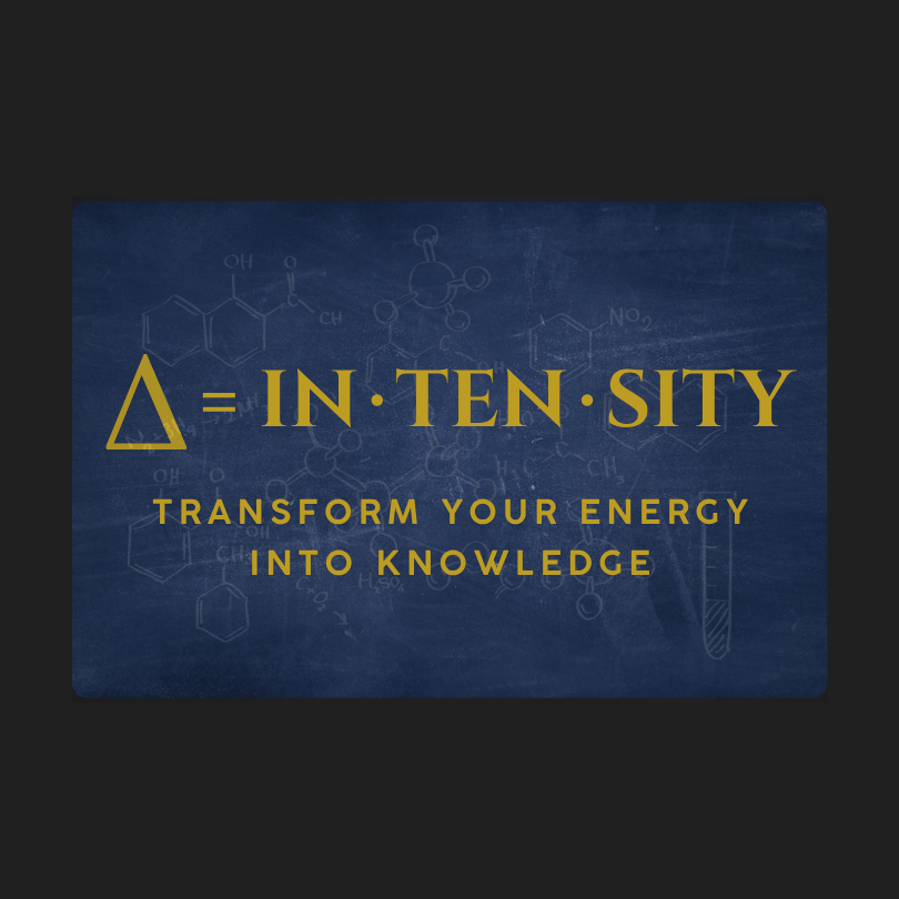 Batch 2 - IN.TEN.SITY. Transform your energy into knowledge. avatar